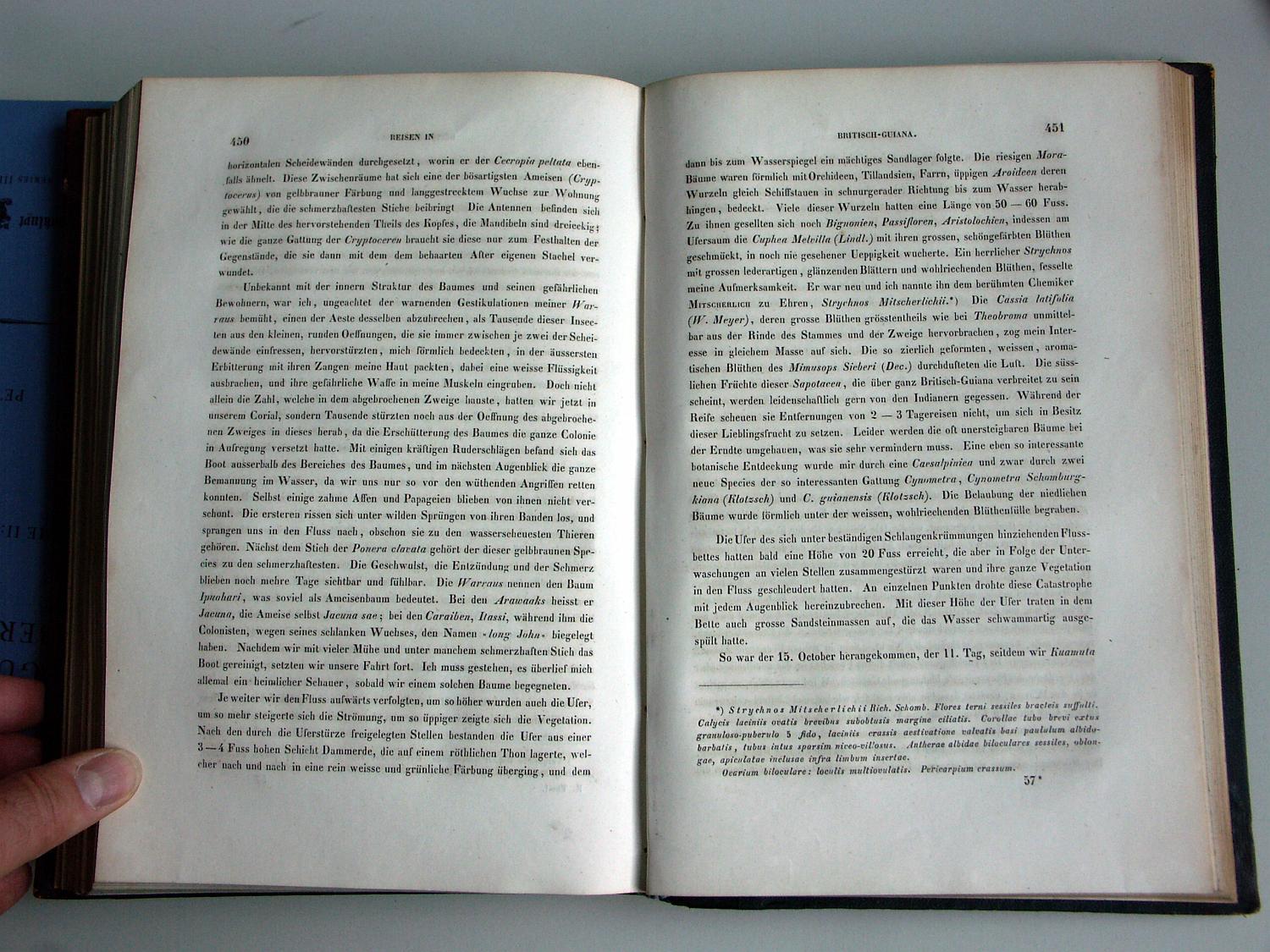 ZZ-RISC48,S.450 15.Oktober